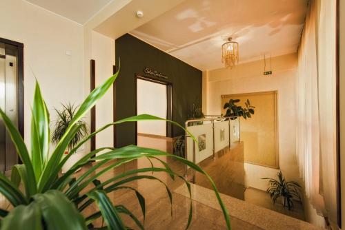 a hallway with a plant in a room at Hotel Ozana in Bistriţa