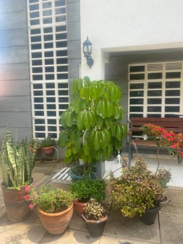 Jardin de l'établissement Pareiyo Residency