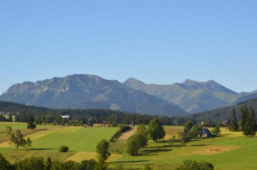a green field with mountains in the background at Ostrysz in Dzianisz