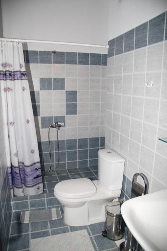 a bathroom with a toilet and a shower curtain at Calypso Apartments in Vathi, Ithaka