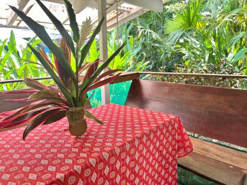 a plant sitting on a table with a red table cloth at Villas Itaita Beach Cabins in Punta Uva