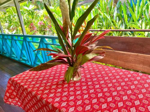 a potted plant sitting on top of a red table at Villas Itaita Beach Cabins in Punta Uva