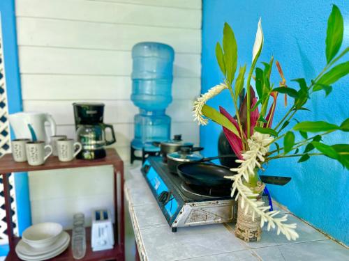 a pot on a stove with a plant on a counter at Villas Itaita Beach Cabins in Punta Uva