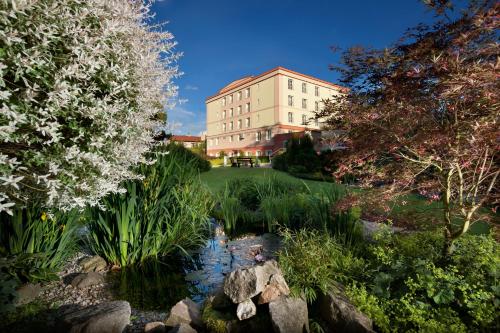 a building and a pond in front of a building at Francis Palace in Františkovy Lázně