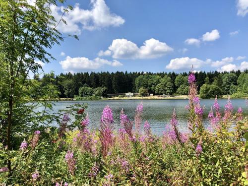 a view of a lake with purple flowers at Ferienhaus mit Terrasse, Haustierfrei in Clausthal-Zellerfeld