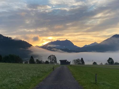 a road leading into a field with mountains in the background at Ferienwohnungen LODGE-B in Weissenbach am Lech