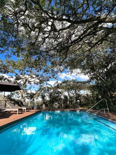 a large blue swimming pool with a tree overhead at Three Tree Hill Lodge in Bergville