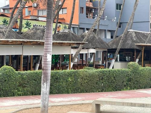 a palm tree sitting in front of a building at Comfort zone in Futungo de Belas