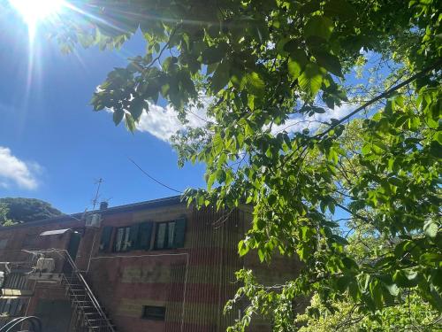 a building with the sun shining through a tree at SABRINA MAISON CHIC AFFITTA CAMERE Camogli & Portofino in Camogli