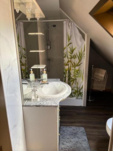 a bathroom with a sink and a mirror at Kalon - La Bonne Étoile in Kogenheim