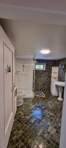 a bathroom with a shower and a toilet and a sink at Ferienhaus Sauerbléck in Steinheim