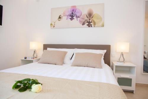 Summer Lounge Apartments