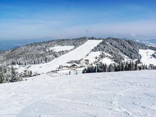 a snow covered slope with trees on a mountain at Sunny&Cozy - Maisonette Apartment in See Nähe in Sankt Urban