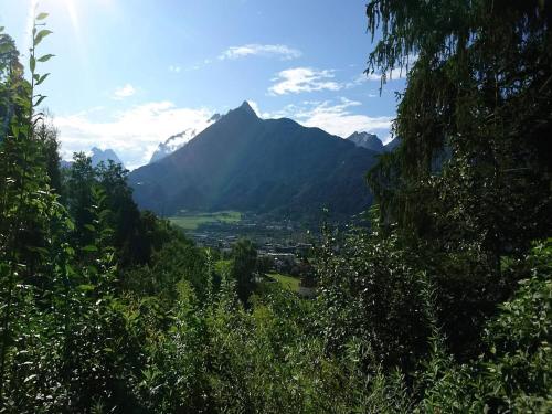 Naturlandschaft in der Nähe der Ferienwohnung
