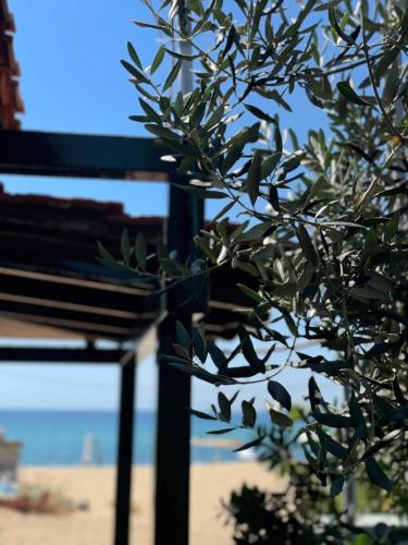 Φυσικό τοπίο κοντά σε αυτή η παραθεριστική κατοικία