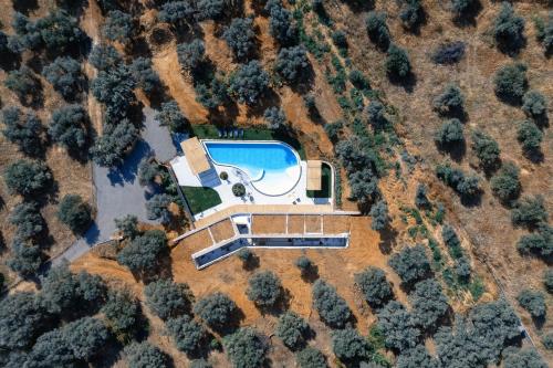 Salisol Villa - Green Oasis