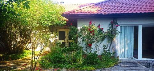 Taman di luar Kräutermanufaktur Roßfeld