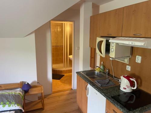 a small kitchen with a sink and a microwave at Apartmány Penzion Koula in Pec pod Sněžkou