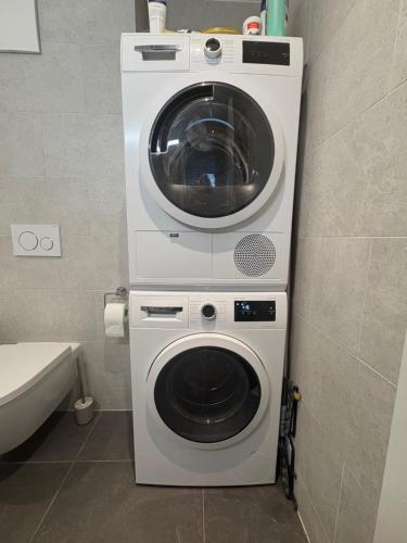 SaxonにあるAppartement Saxonのトイレの隣のバスルームに洗濯機が備わります。