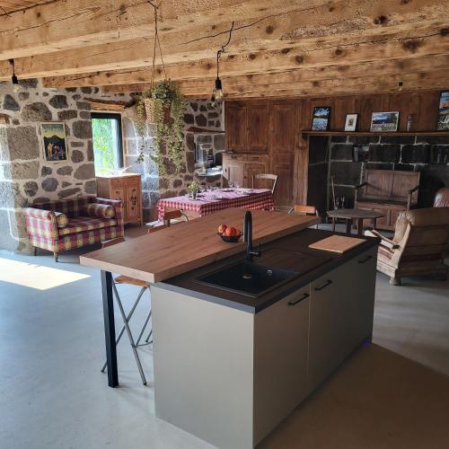 a kitchen with a counter and a sink in a room at La Grange d'Olivier in Le Claux