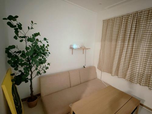 Χώρος καθιστικού στο 제주 공항 10분!! 신규 숙소 실로스테이 - Jeju Island New Accommodation Shiloh Stay