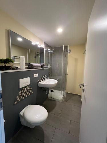 a bathroom with a toilet and a sink and a shower at Vier Jahreszeiten in Homburg