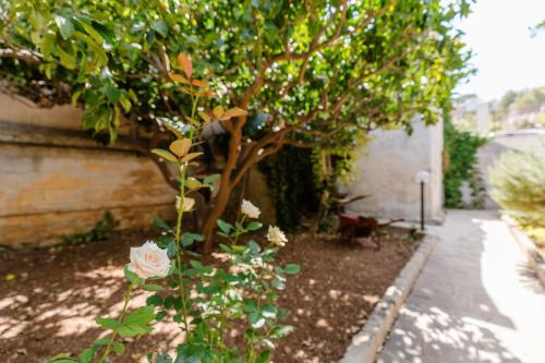 a rose bush in a garden next to a tree at Ardesia Vacanze in Valderice