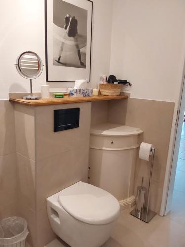 a bathroom with a white toilet and a mirror at Sehr schöne neu renovierte Ferienwohnung Spechthöhle in Wehrheim