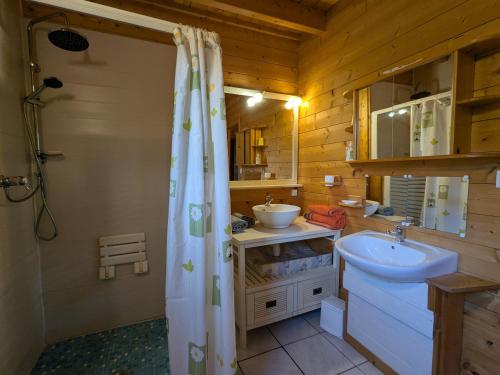 ein Badezimmer mit Waschbecken, Toilette und Dusche in der Unterkunft Chalet spacieux près de Gérardmer avec terrasse, verger et activités montagne - FR-1-589-121 in Le Tholy