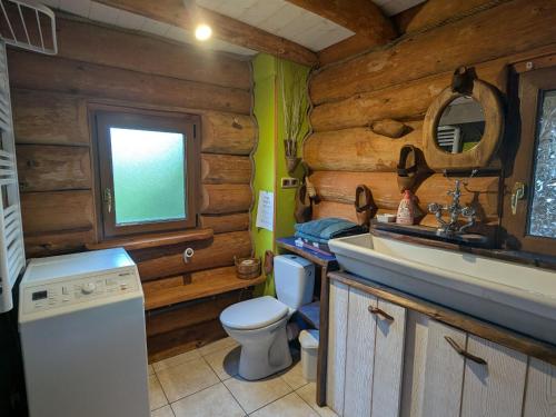 ein Badezimmer mit Toilette, Waschbecken und Spiegel in der Unterkunft Fuste insolite avec balcon et terrasse dans les Vosges - FR-1-589-241 in Le Tholy