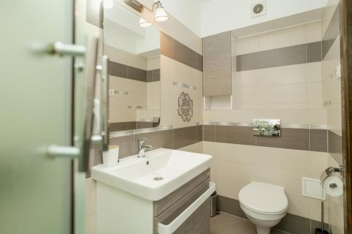 a bathroom with a sink and a toilet at Niki Apart Pension in Gheorgheni