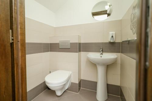a bathroom with a toilet and a sink at Niki Apart Pension in Gheorgheni