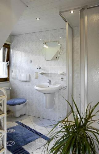 a bathroom with a sink and a toilet at Ferienwohnungen Ihle in Kurort Altenberg