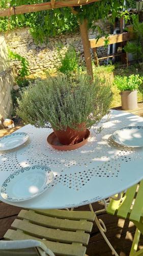 a table with plates and a potted plant on it at Le Cabanon d'Andréa in Forcalquier