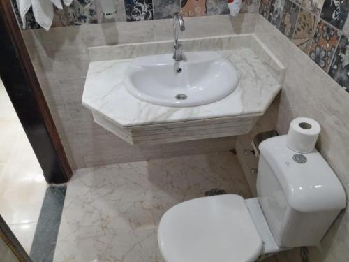 a bathroom with a white sink and a toilet at Aladdin Sphinx & Pyramid Stay in Cairo