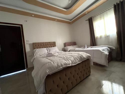 a bedroom with two beds and a ceiling at Aladdin Sphinx & Pyramid Stay in Cairo