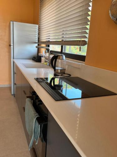 a kitchen with a counter with a sink and a refrigerator at Tirza's Place in Livnim