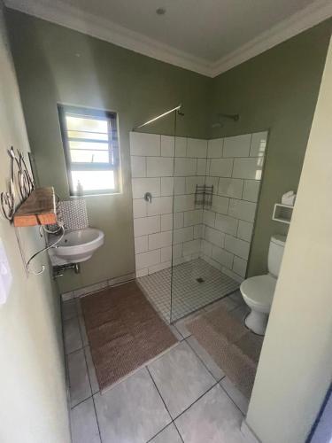 a bathroom with a shower and a toilet and a sink at Sasa Safari Camp & Tours in Outjo