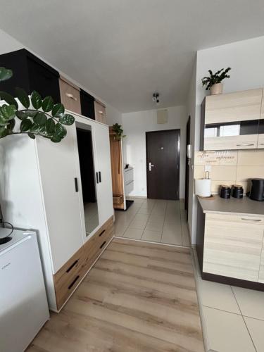 a kitchen with white cabinets and a potted plant at Apartmán ORION in Dubnica nad Váhom