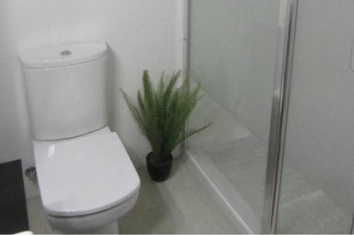 a bathroom with a toilet and a potted plant at City Apt - Sleeps 4 Community Pool & Parking in Denia