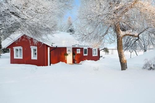 a red building in the snow with a tree at Seaside villa Swedish Lapland Luleå in Luleå