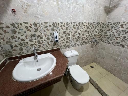a bathroom with a sink and a toilet at Aladdin Sphinx & Pyramid Stay in Cairo