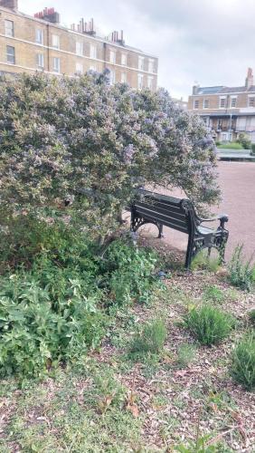a park bench sitting under a tree with purple flowers at Clifftop Mews - Westcliff - Ramsgate - Pet friendly! in Kent