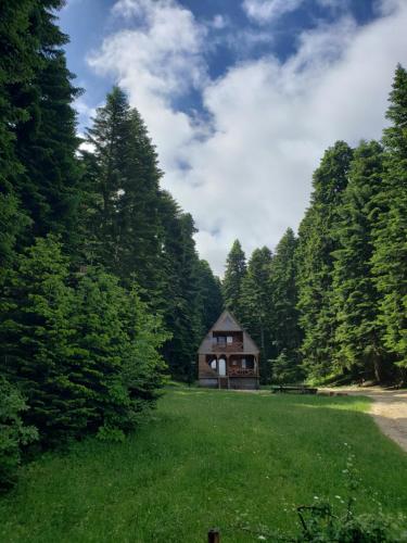 a house in the middle of a field with trees at ხის სახლი in Ambrolauri