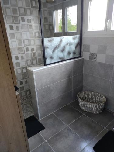 a bathroom with a shower with a mirror and a basket at green house in La Neuville-lès-Dorengt
