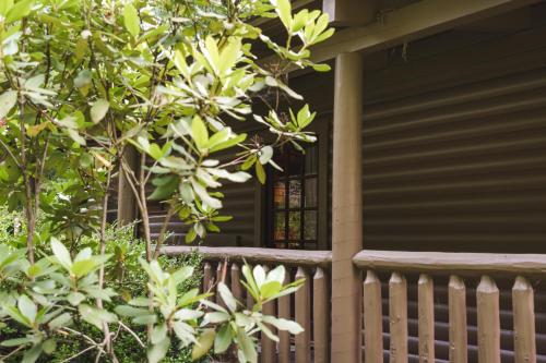 a porch of a house with a window at Little Redwood - Hocking Hills, Hot Tub & Games in Logan