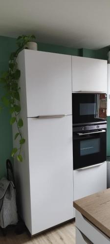 a kitchen with a white refrigerator and a microwave at Magnifique appartement avec terrasse au centre Epinal in Épinal