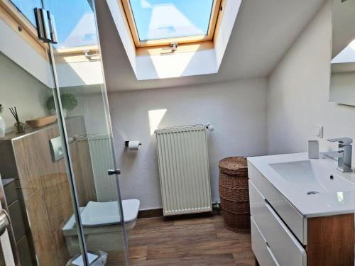 a bathroom with a skylight and a toilet and a sink at Ferienwohnung Goldfasan in Lam