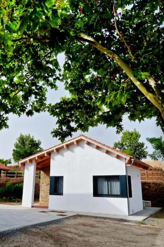 a white building with two windows under a tree at GlampINN Fuente Obejuna in Fuente Obejuna