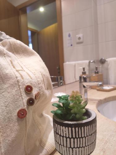 a potted plant on a counter in a bathroom at Hotel dos Loios in Santa Maria da Feira